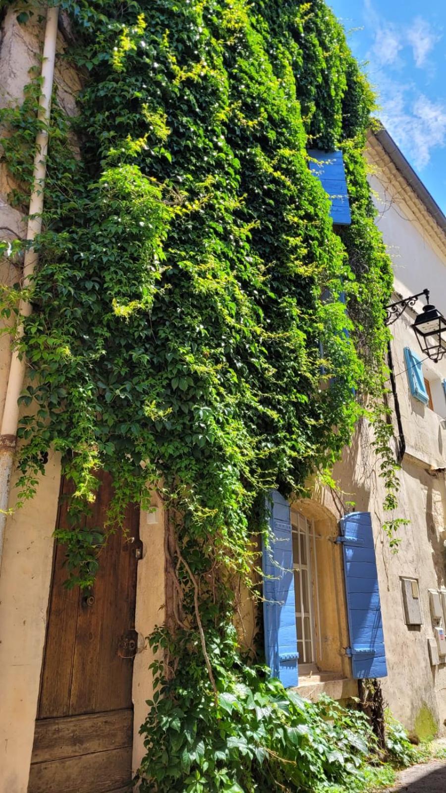 La Confidentielle Centre Ville Arles Terrasse Exterior foto